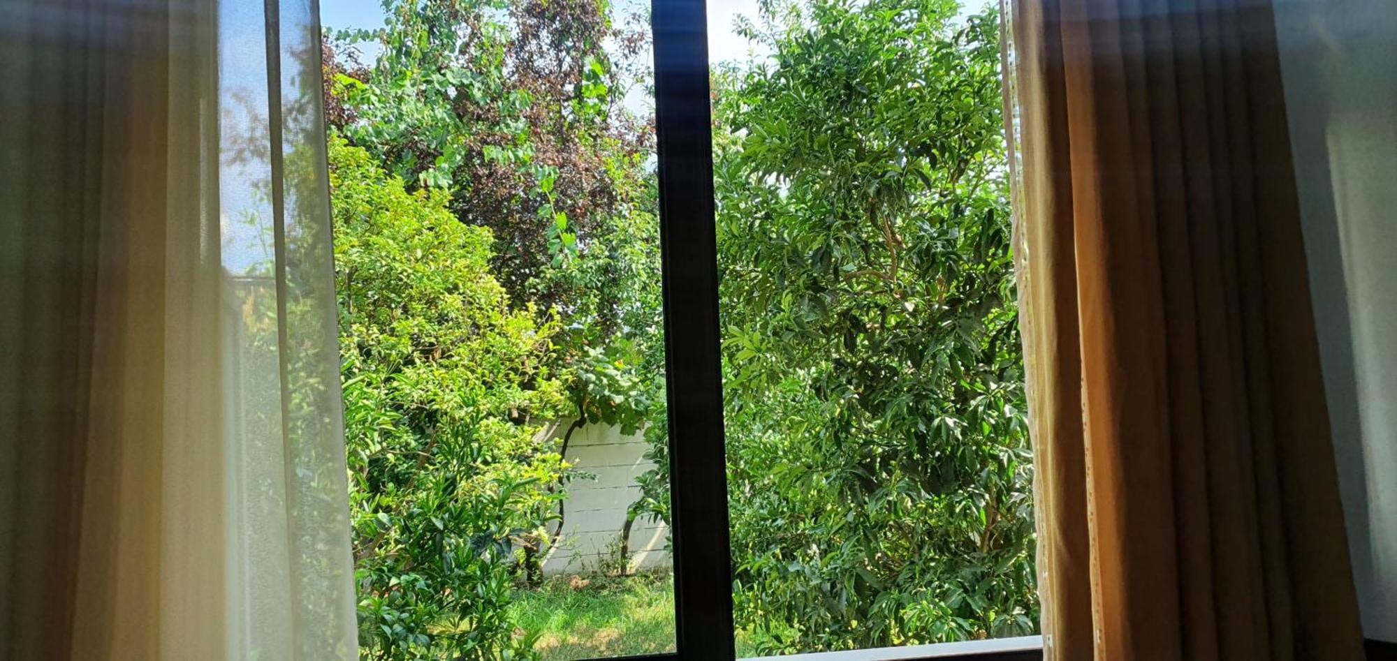 Xho'S Forest Guest House ベラト 部屋 写真
